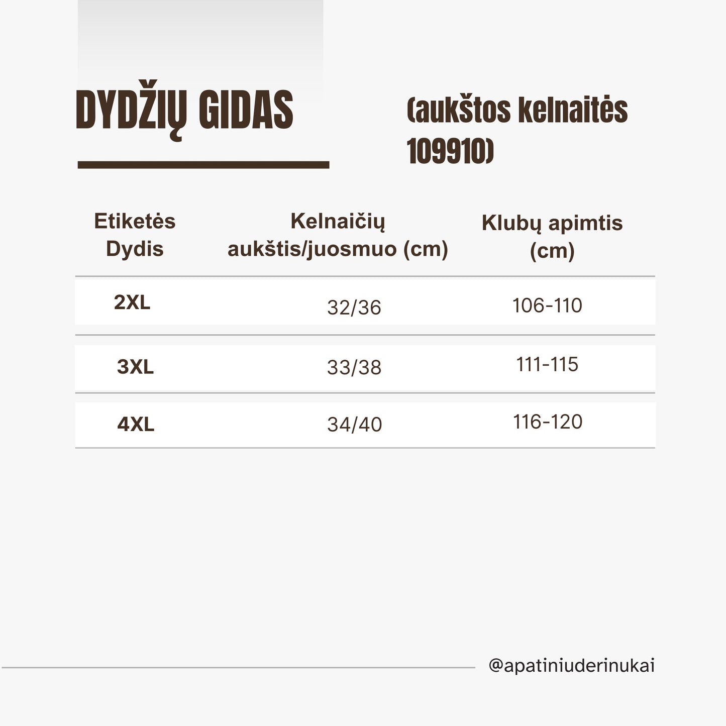 Nėriniuotos liemenėlės ir kelnaičių komplektas, juoda (100-110E/2XL-4XL)