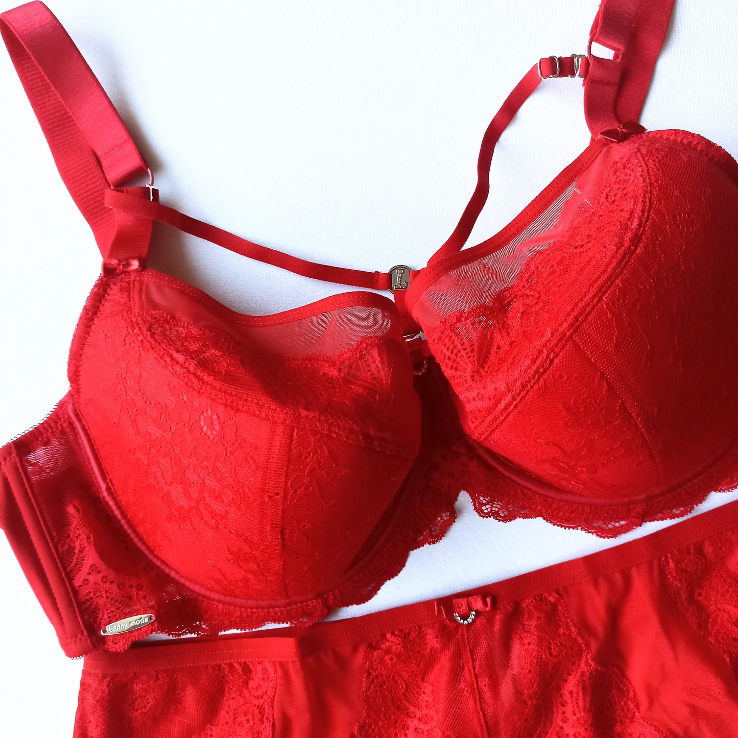 Prabangus liemenėlės ir kelnaičių komplektas,raudona (80D-100D/L-4XL)