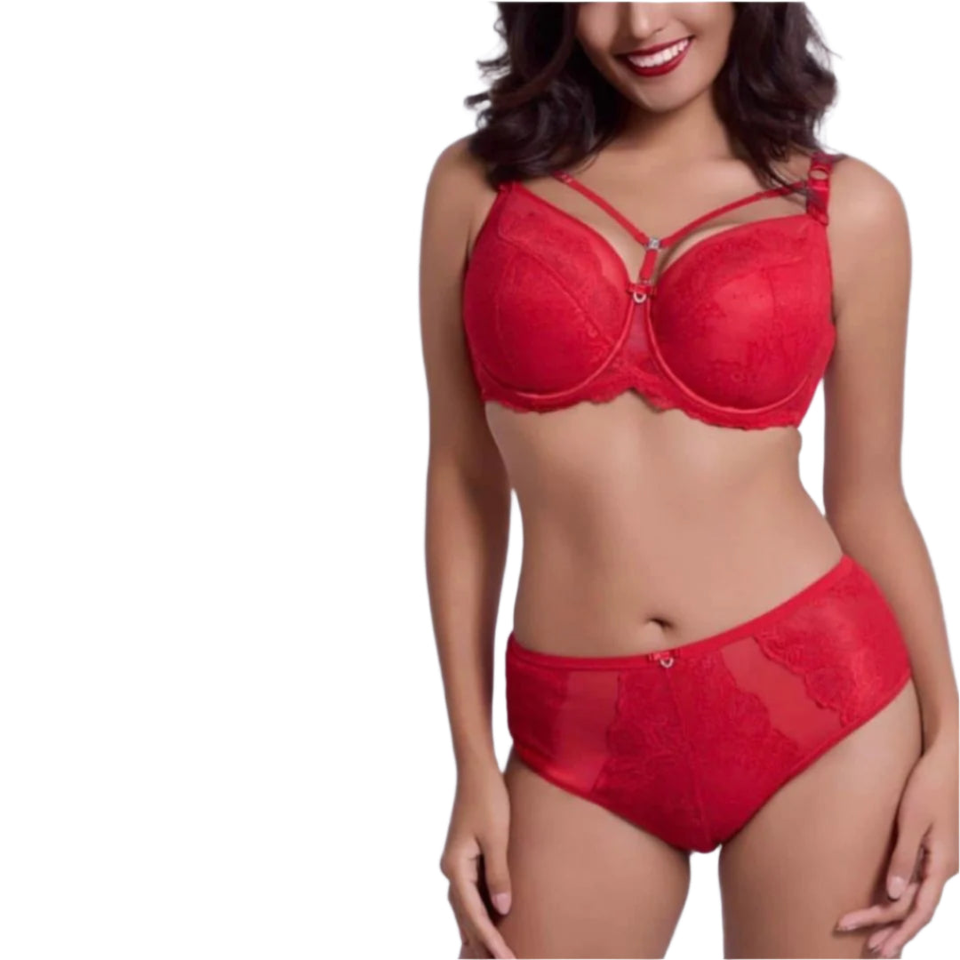 Prabangios klasikinio juosmens bikinio kelnaitės, raudona (L-4XL)