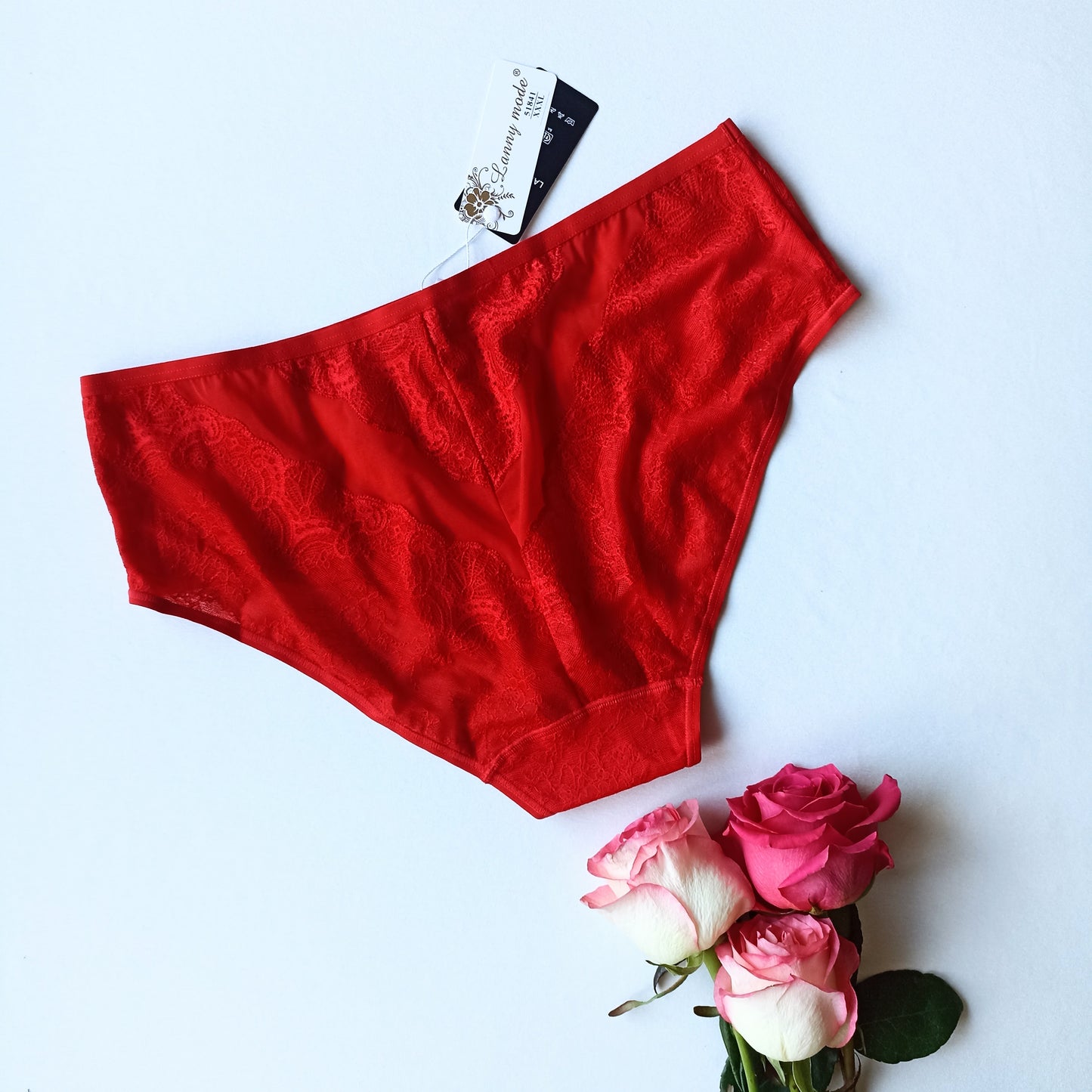 Prabangios klasikinio juosmens bikinio kelnaitės, raudona (L-4XL)