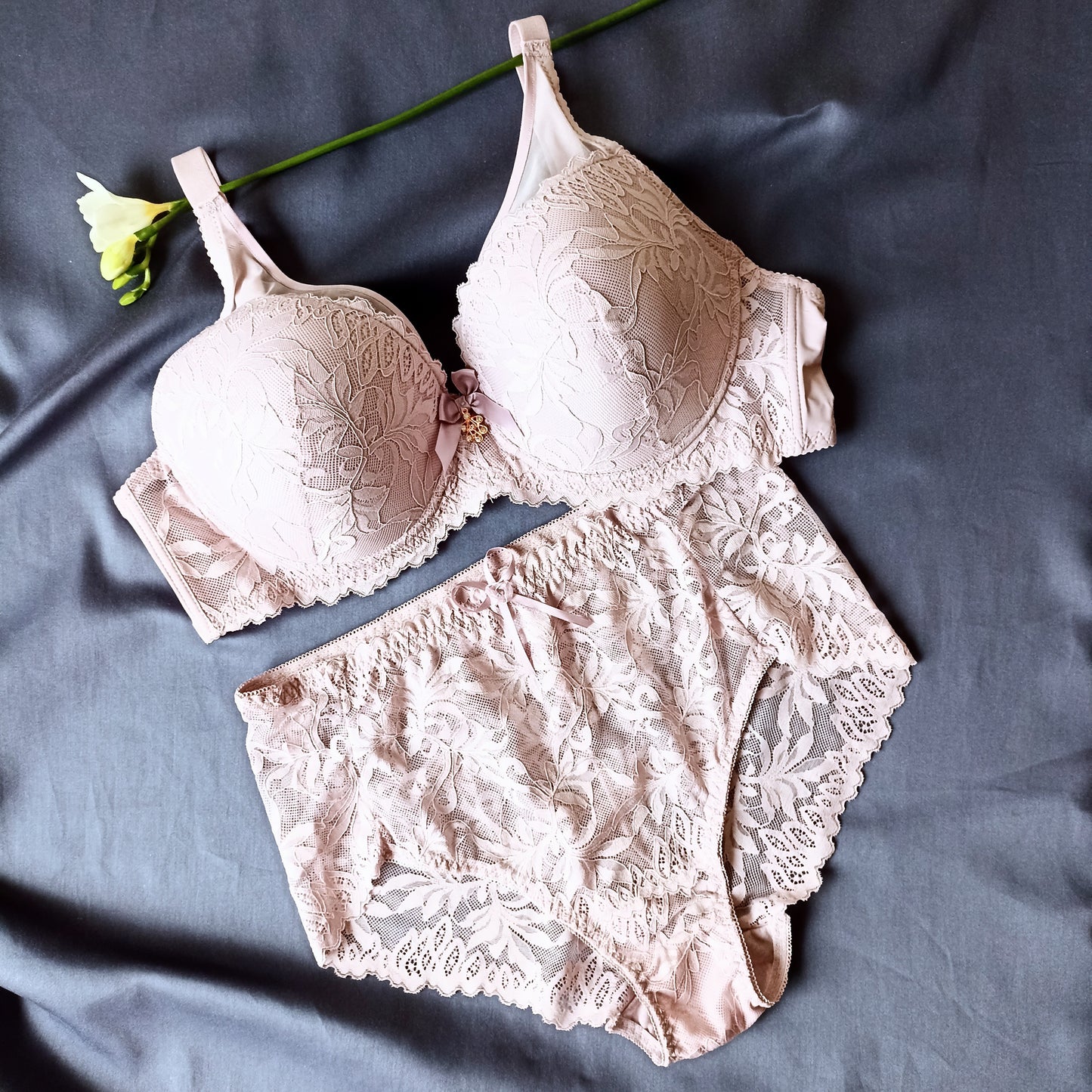 Nėriniuotos liemenėlės ir kelnaičių komplektas, pudra (100-110E/2XL-4XL)